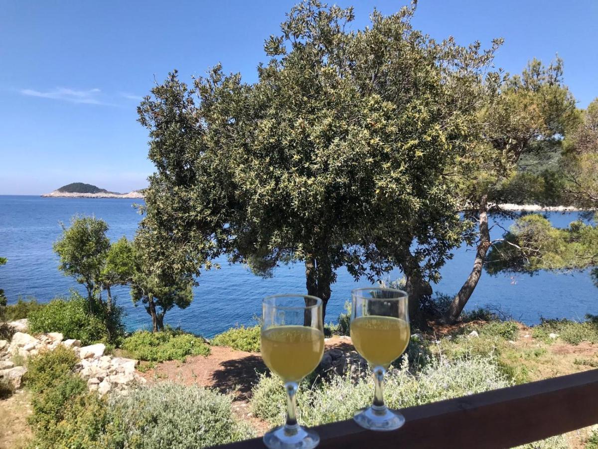 Franic Apartment Saplunara