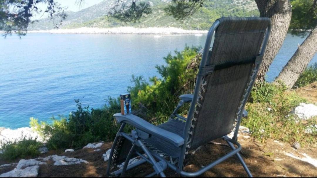 Franic Apartment Saplunara