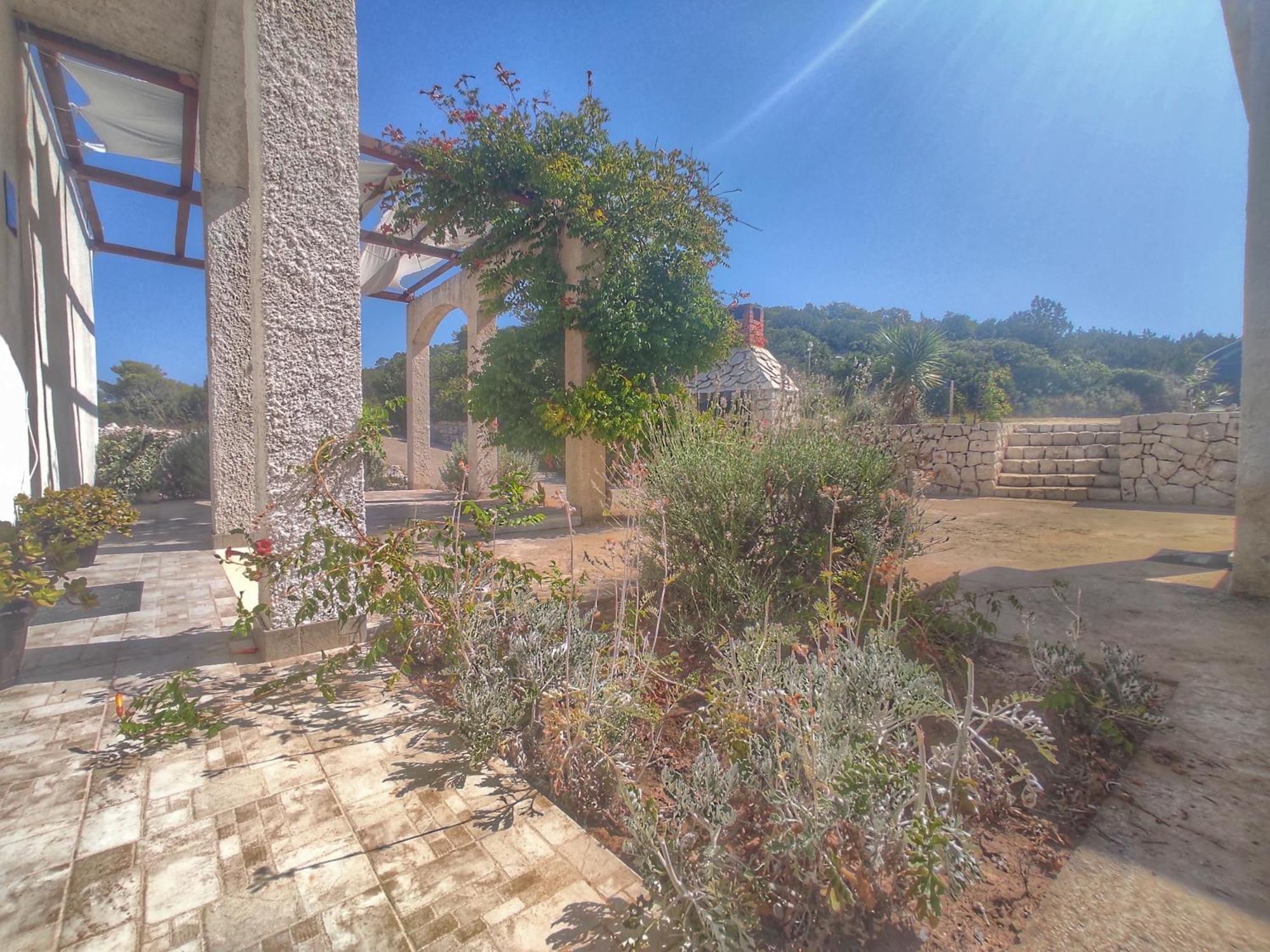 Apartment Franic Saplunara